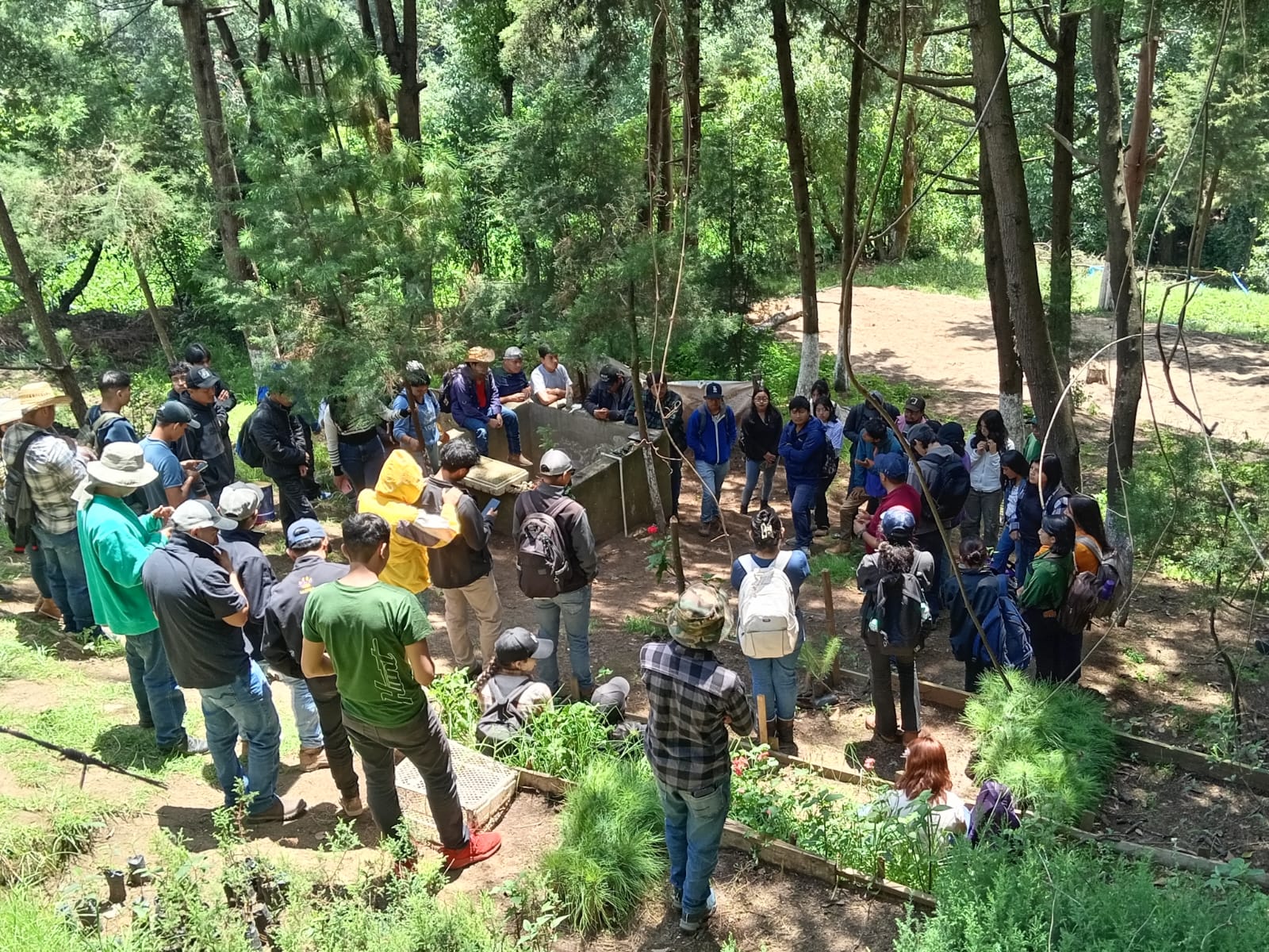 Visita al Vivero Municipal de San Mateo